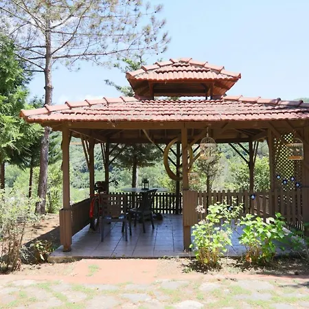 Σπίτι διακοπών Serene House Surrounded By Nature In Beykoz Κωνσταντινούπολη